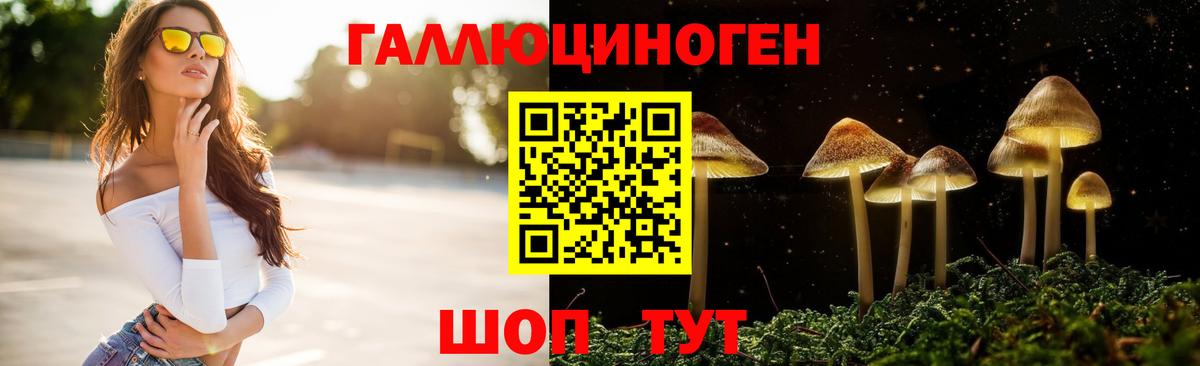 Михайловка  Галлюциногенные грибы прущие грибы  Вход с VPN 